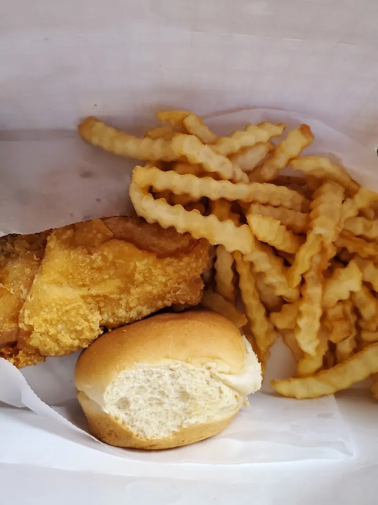 Fried Chicken Tenders and Fries